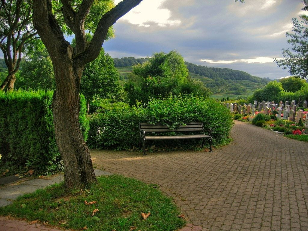 a brick path with a bench and trees on the side