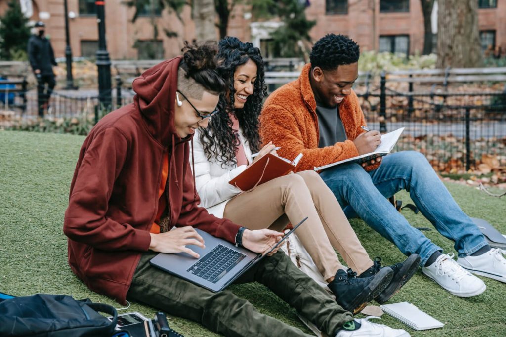 a group of people sitting on the grass looking at a laptop