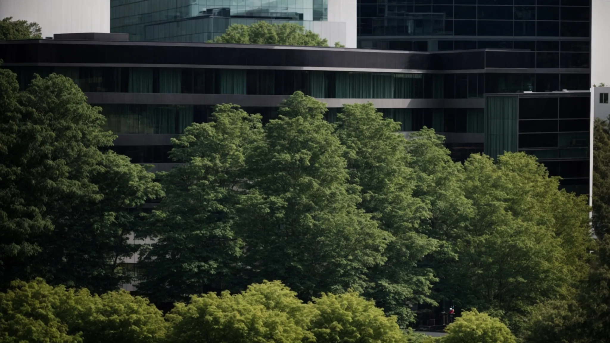 a professional landscaper trims tall trees surrounding an office building, enhancing its overall appearance and safety.